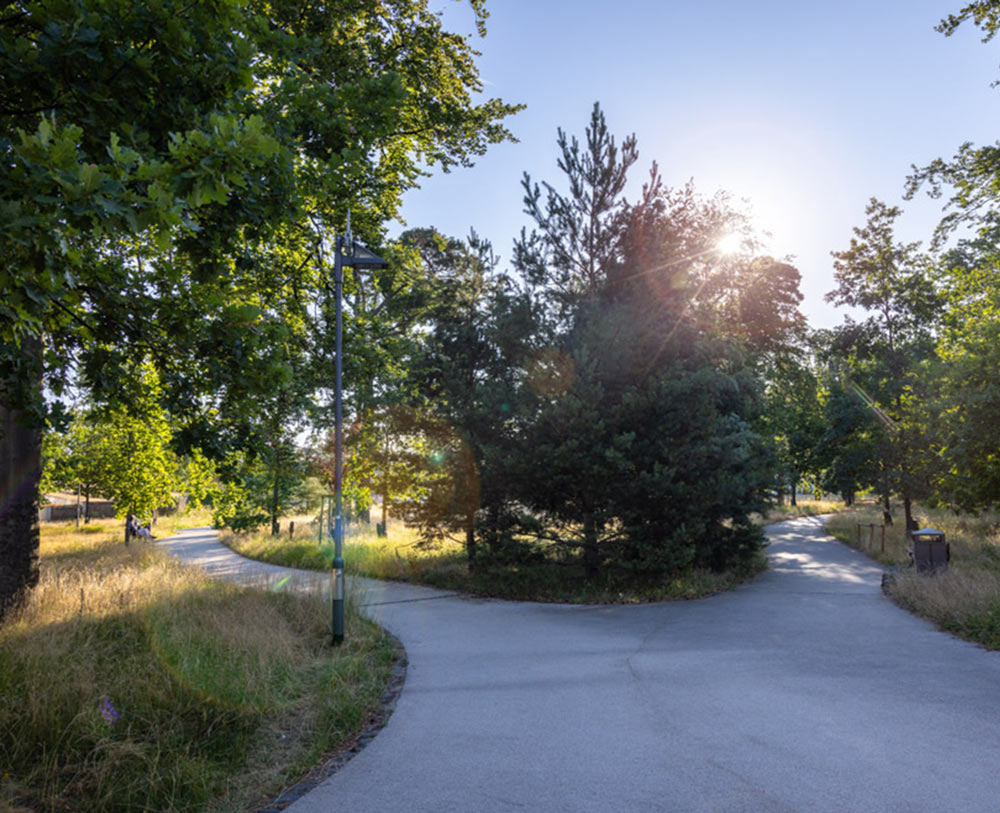 güne parks